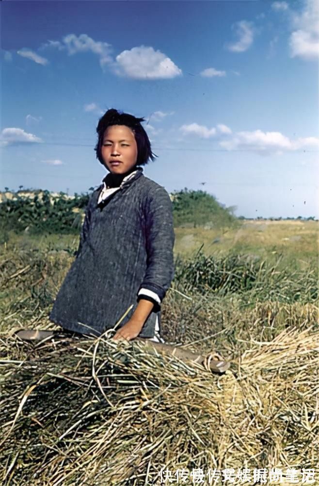 郭台铭|郭台铭老谋失算10年富士康女工,抢东家生意,身价超580亿