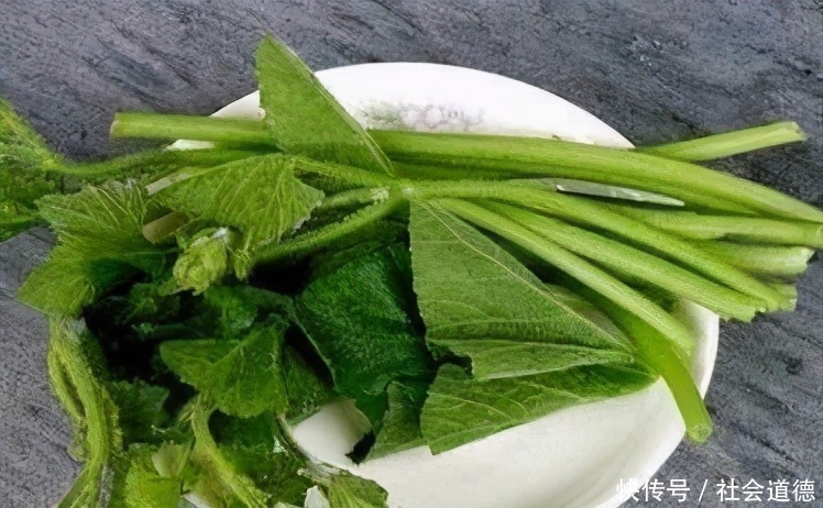 明目|养生价值极高的食物,有利于肝脏健康,益