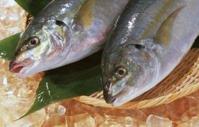 生活质量|德国人寿命比世界人均寿命高出近10岁,只因他们有这7个好习惯