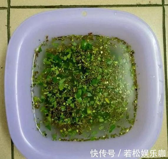 花卉|生根剂不用买，用家家都有的“小东西”，2分钟就能制出来