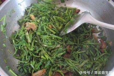 湿气重百病生,祛湿排毒别去拔罐了,做好2点祛湿驱寒好处多