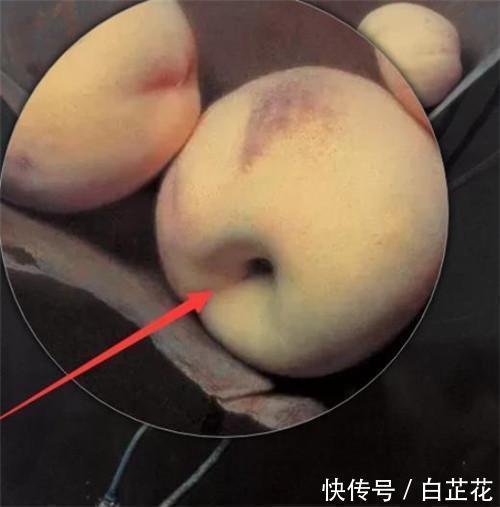 桃子！冷军画4个桃子，卖出六十七万，为何专家却说毫无美感？