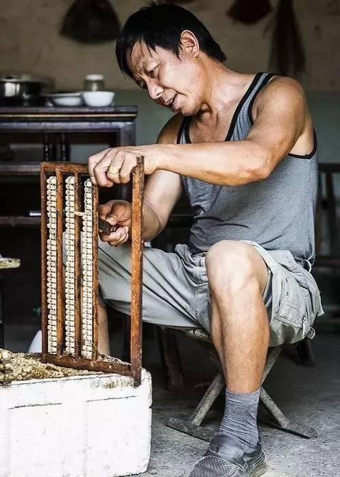 山间|此生必走一次缠绕浙闽山间的千年古道,真正的好山好水,遗世独立