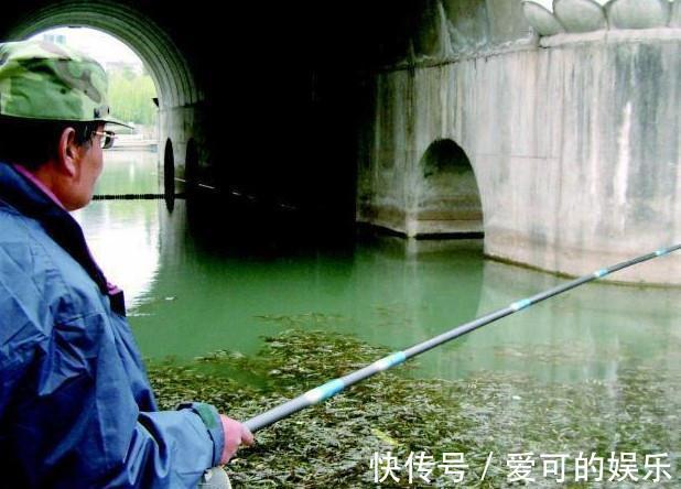 钓鱼是不是非要找底,老鸟告诉你,会找底就是不一样