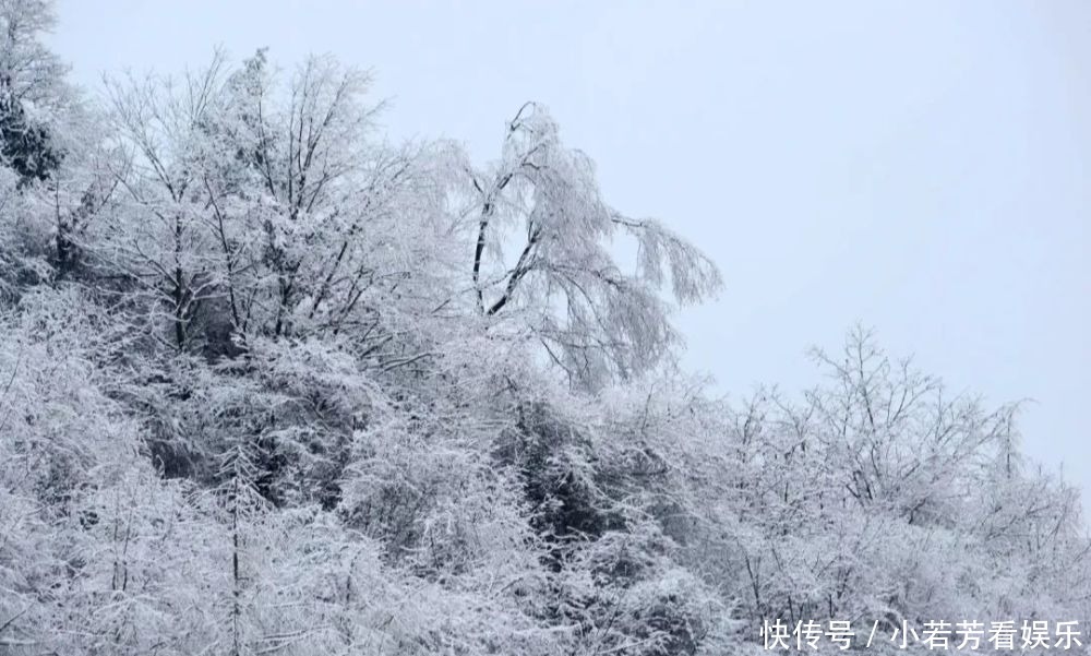 雪天|一到雪天，李家就美成了壁纸！