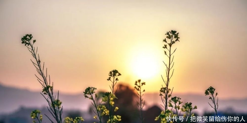 12句民间俗语，暗藏玄机，大有智慧