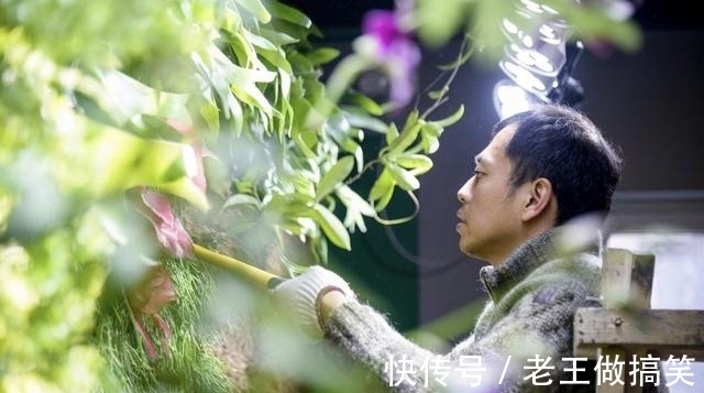 高晓松|他毕业后没上过一天班,参加《最强大脑》是为了玩,退赛后咋样了