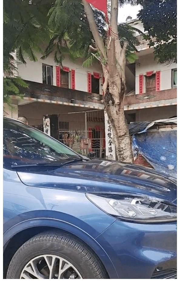 马蹄疾|网红蹭全红婵的热度“不择手段”,跑去老家围观,自导自演做视频