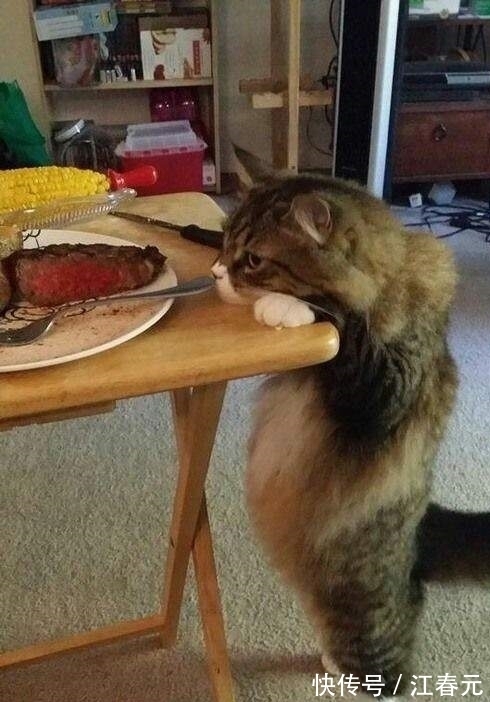 |幽默笑话：圣诞节当晚，室友在床头挂了只袜子，今早起来发现……