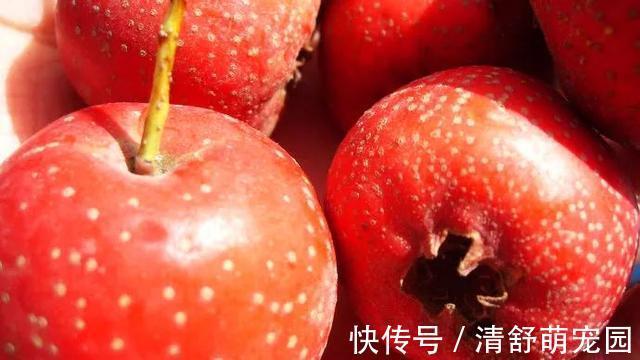 功效|冬天常吃这个,防血栓!40岁后要多吃,活血、降脂