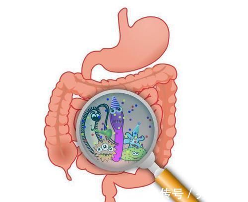 腹脐|55岁后为长寿关键期,保“三处”,按“三穴”,长寿健康随之而来