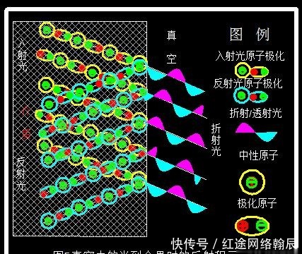 半波损失现象是否定光子存在的重要证据