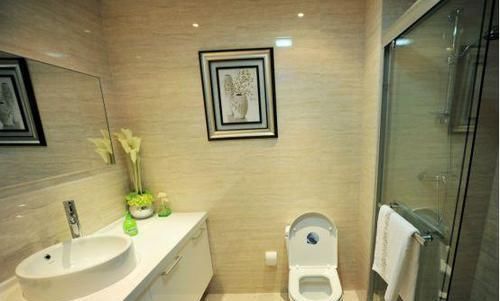 装修|越来越多人都这样装卫生间，尤其是在日本特别流行，懊恼知道太晚