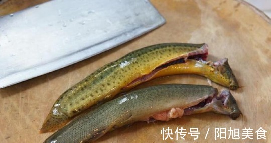 猪肉|被人“嫌弃”最多的鱼，白送都没人要，比猪肉营养，好吃还不上火