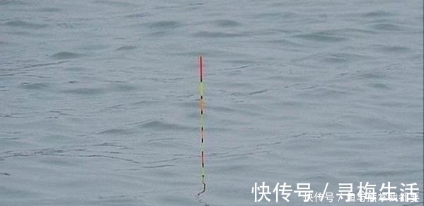 鱼群|浮漂上顶很清晰，提竿就是没有鱼，这五种原因皆有可能