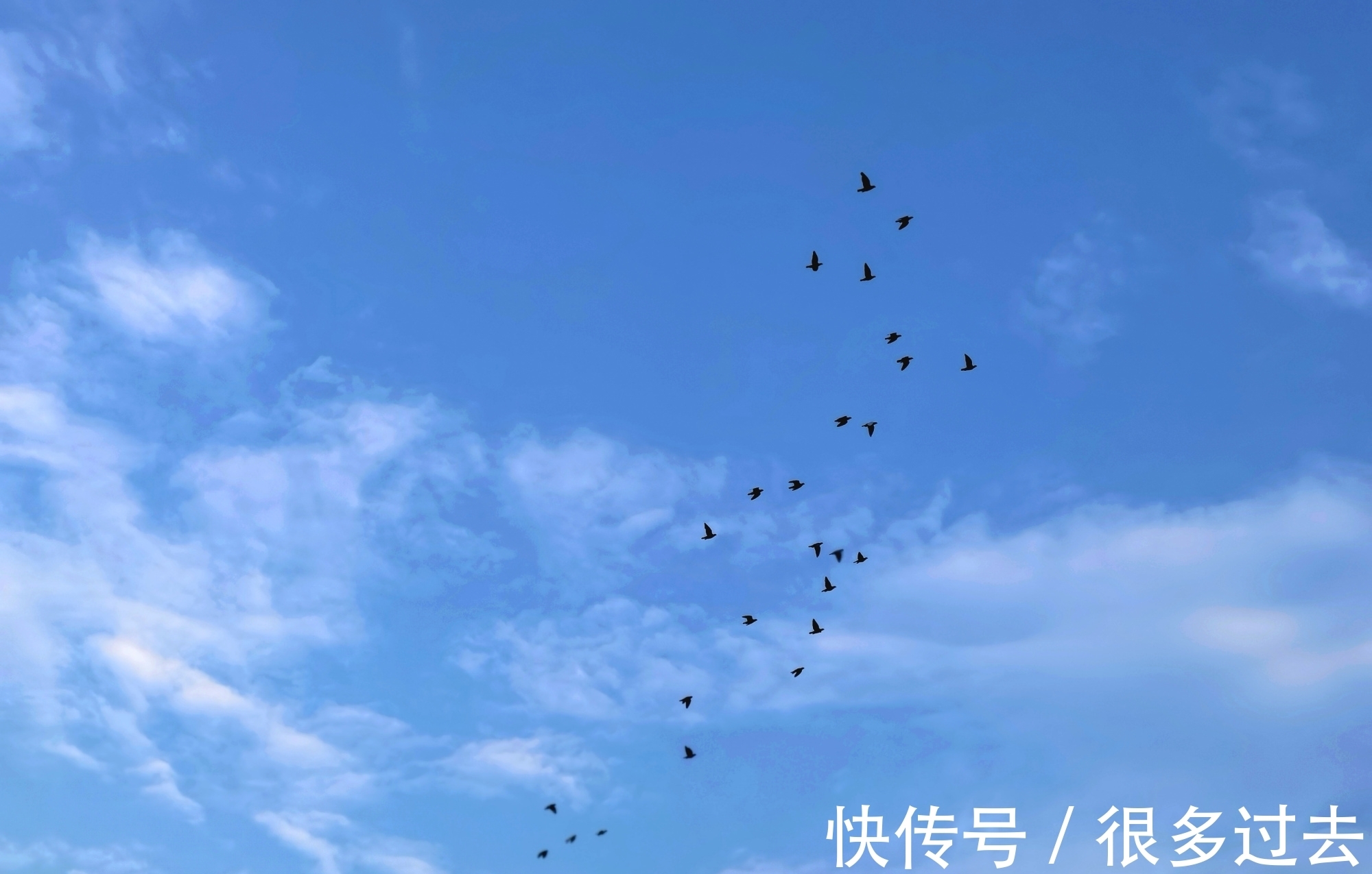 散文|原创散文:武汉的云,故乡的云