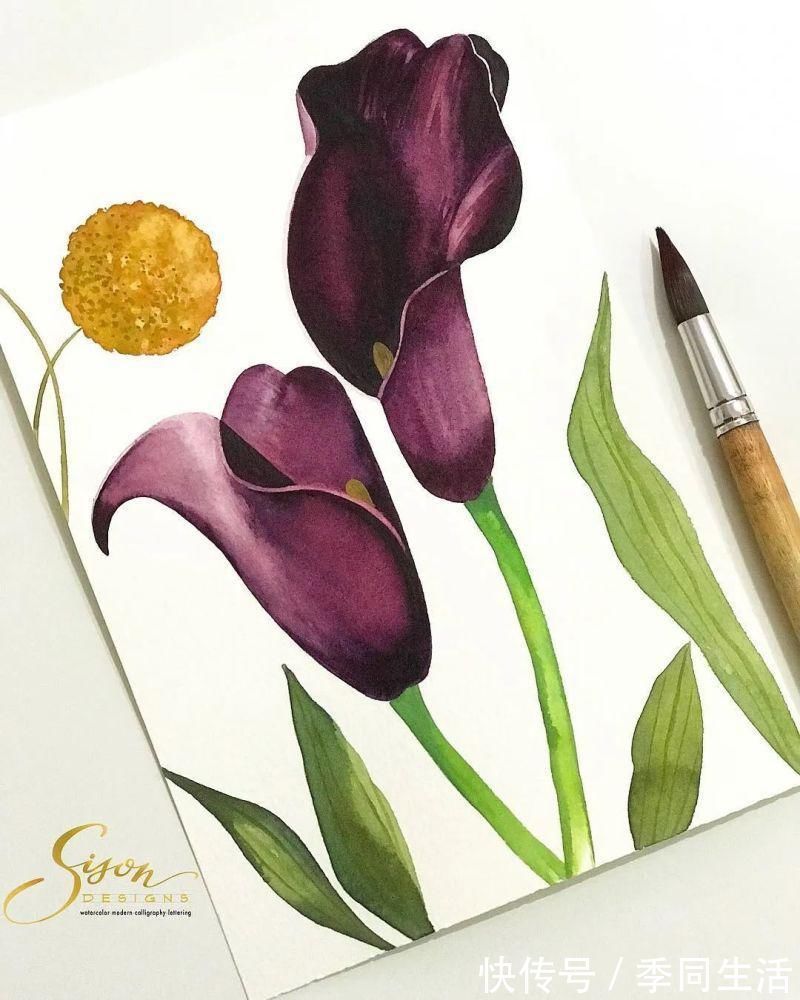 笔尖&美爆！70张超简单小清新的水彩手账，你想要的都在这里！收藏这篇就够了！