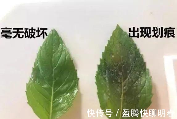 薇娅|能让李佳琦和薇娅看得上,这韩国去角质凝胶,实力真的很强大