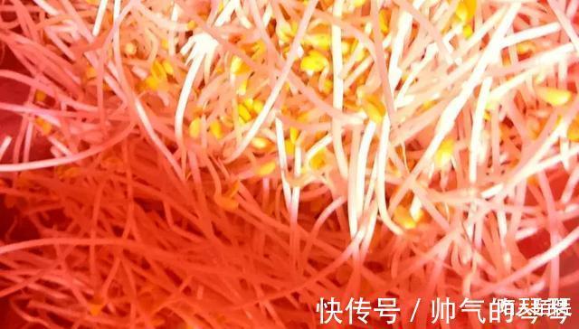 南瓜|世界上最毒的4种蔬菜,一个比一个伤肝,你却经常端上桌!