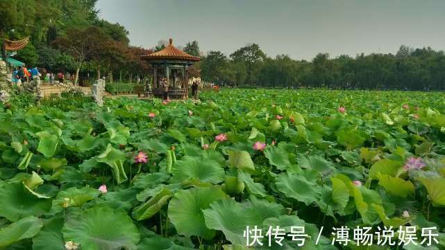 避暑|中国最凉快的城市最高不超过26℃，夏天也不用开空调