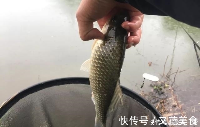 饵料里面加把米,诱鱼留鱼两不误,这一招在野钓百试不爽