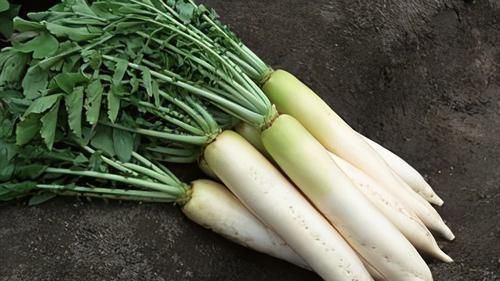 女性|女性不想早衰,要多吃3种食物,美容养颜、增强体质!