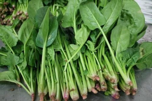 健康|寿命长的人,都爱吃3种食物,做3个简单,长寿不会远离你