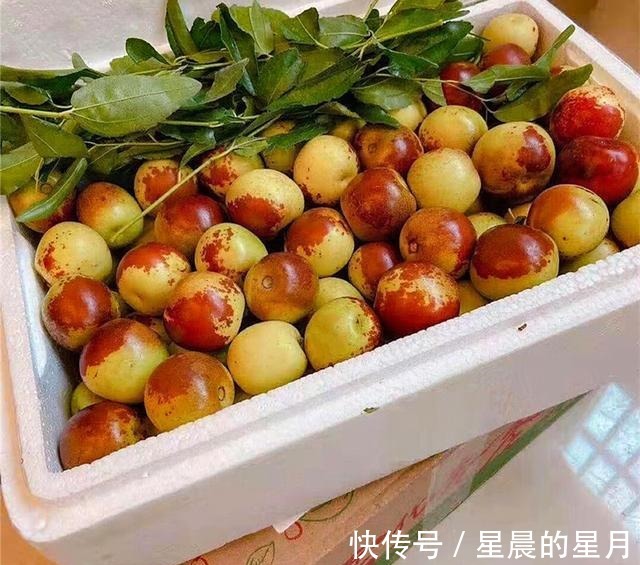 薏米|补药一堆不如秋天养脾，秋天是养脾的最佳时机，多给家人煮来喝！