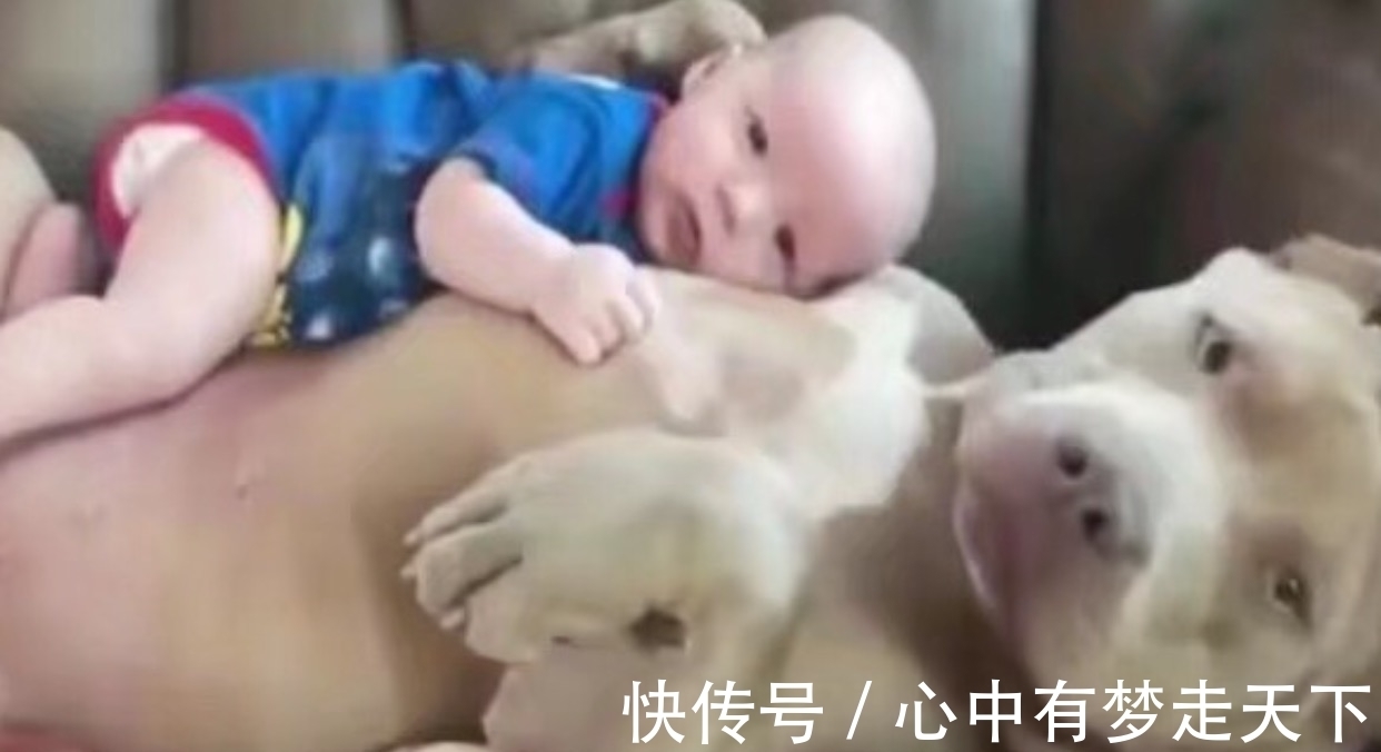 宝宝|夫妻俩一觉醒来发现宝宝不见了,看向客厅中笑了