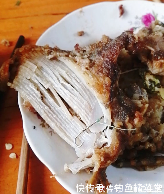 带鱼|吃钓鱼人钓的鱼要千万小心这是为什么呢