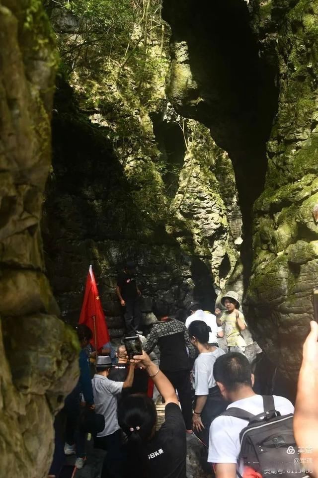 岩壁|探秘鬼斧神工的汉中“大屋基”地缝峡谷，秦巴深处的地质奇观