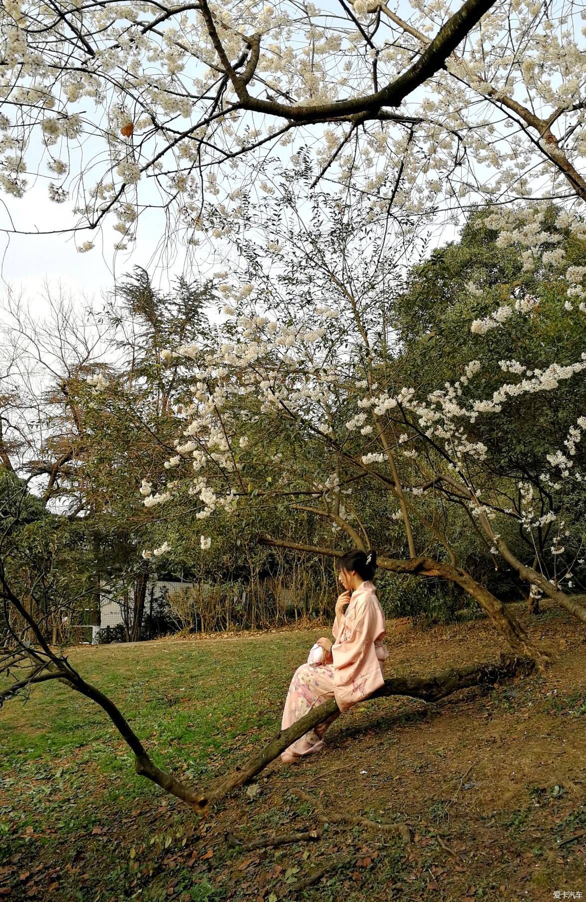 中年|大年初一的成都植物园