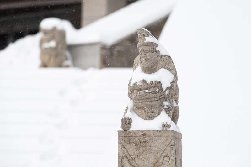 冰雪世界|青年眼| 第一场雪