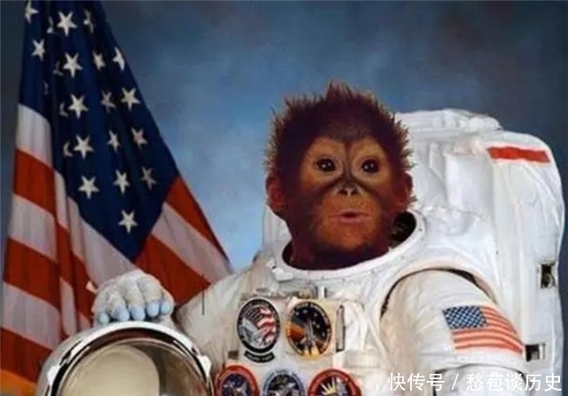 59年前，被美国送上太空的黑猩猩“宇航员”，最后结局如何？