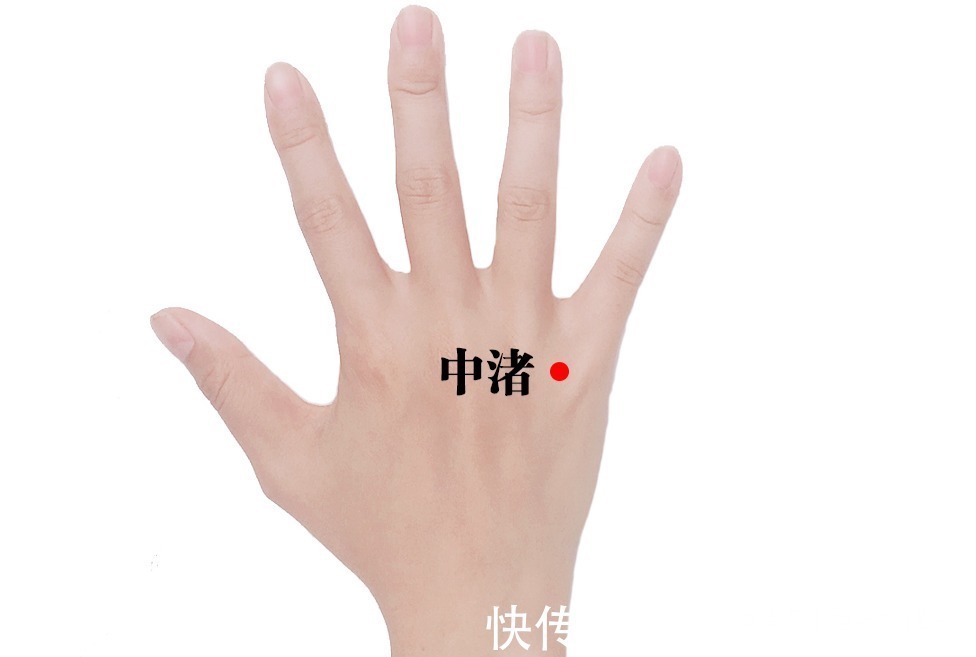 三焦|三焦经,主一身之气!打通它,排掉闷气、病气、火气,气顺百病消