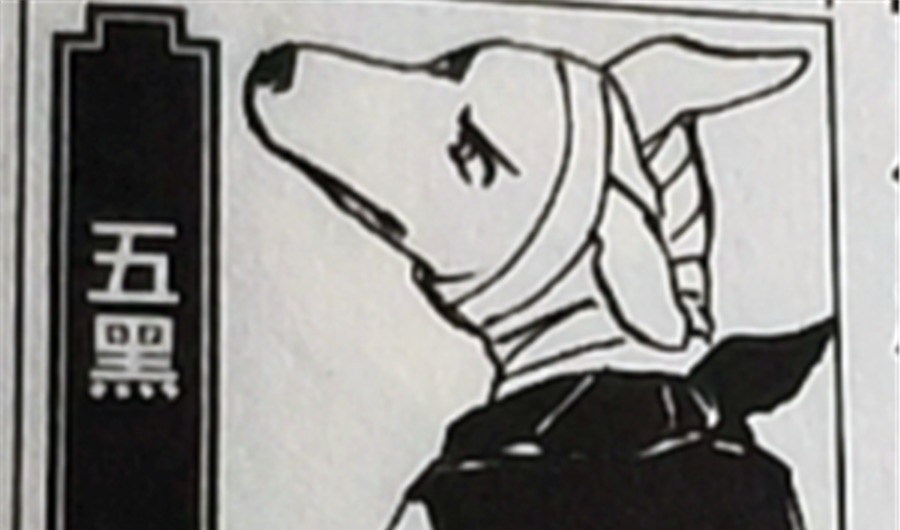 小樱|卡卡西的八忍犬都叫什么名字?帕克让小樱抓狂,阿基诺时刻戴墨镜