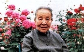 徐志摩|林徽因是女神还是绿茶?看看鲁迅、钱钟书等人的评价你就知道了