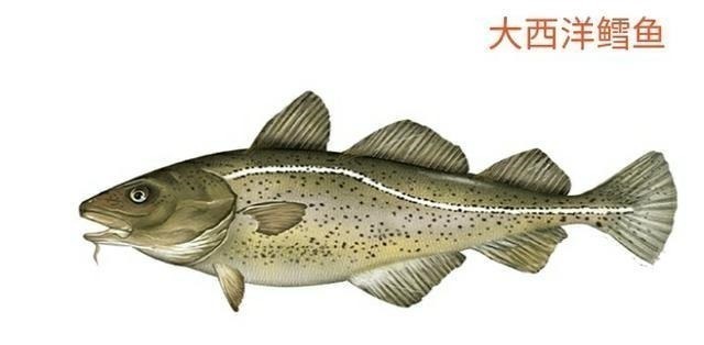 dh科学证实女性拥有这种身材,所生的孩子智商更高,中了该偷笑