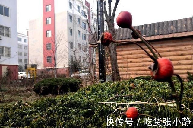 江城子&七律 天空(外五首)