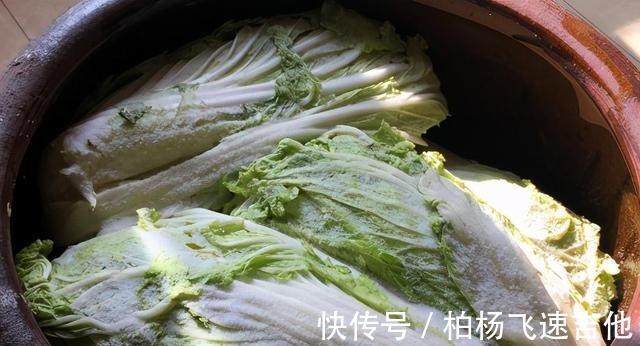 白菜|腌酸菜，东北大娘教你3个技巧，保证酸香脆爽，久放不霉，超好吃！