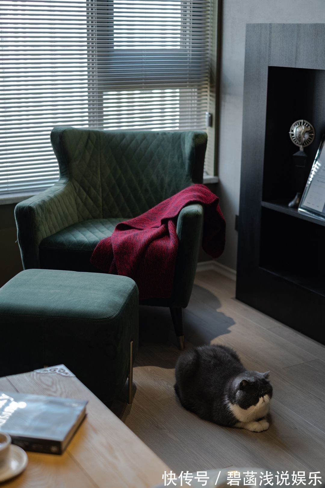 业主|七旬老夫妻的老房改造,观念前卫让人称赞,和儿子的想法不谋而合