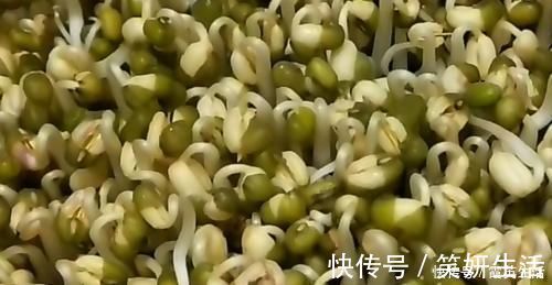 发豆芽|豆芽不用出门买，教你在家发，4天就能吃，又粗又壮好吃更安全