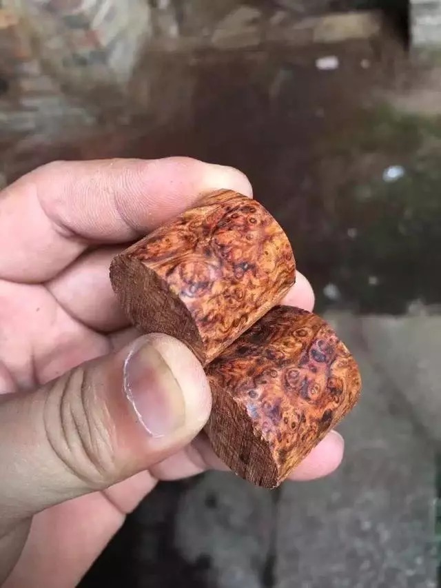  天价|地摊2万买了个木头“猪蹄”，切出天价手串