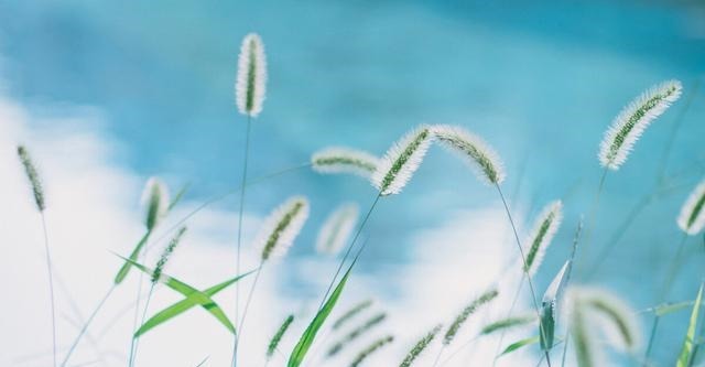 偏执|做人需圆融,忌偏执,急躁