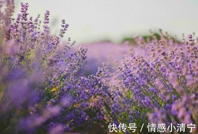 长期|一个人长期不发朋友圈，大多是这三个原因，错不了