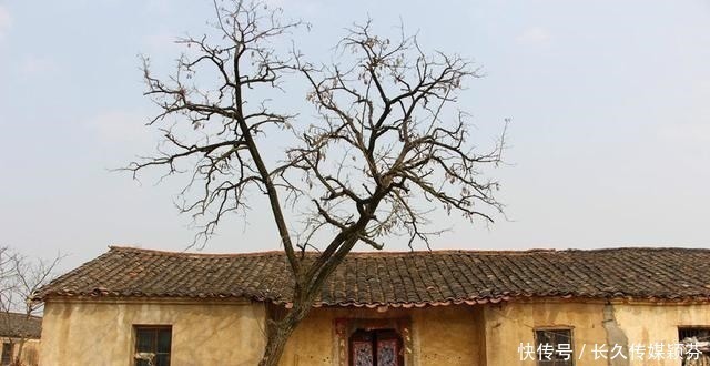 农村|子女户口迁出农村，父母留下的农村土地和宅基地，还能继承吗？