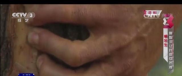 要是鲁智深过景阳冈,能徒手打死老虎吗