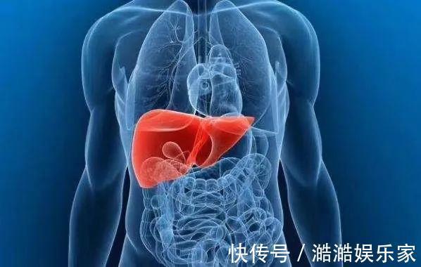 肝脏|98岁肝胆科之父常用“1素”煮水,肝脏年轻30岁