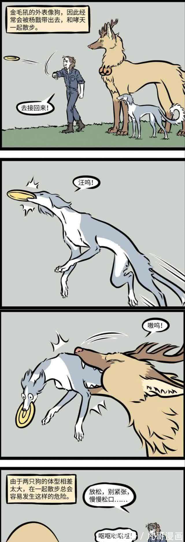 金毛|非人哉:大士失败的惩罚,被咬住的哮天犬,拒绝白泽的N个理由