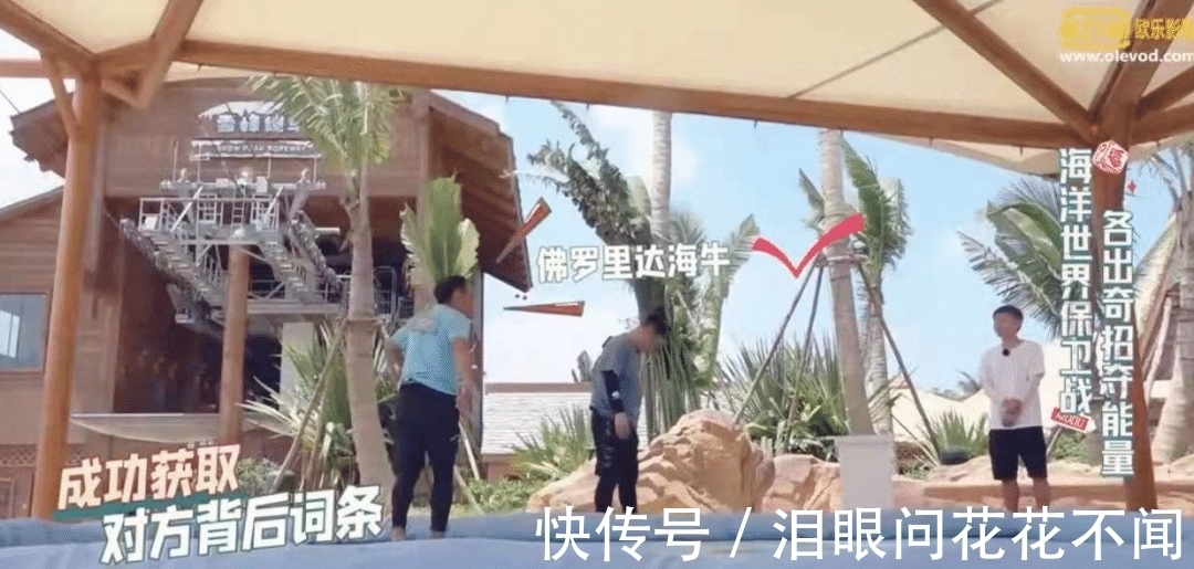 衛(wèi)視|Q2綜藝復盤:原創(chuàng)類節(jié)目數量遠超綜N代,職場、女性等多個賽道持續(xù)發(fā)力